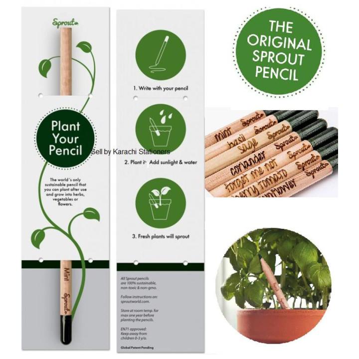 Sprout Plant Pencil With Seed Home Office Garden Decor Sprouting Pencils with Plants Seeds