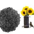 Sunflower Black Seeds for Budgies ,Cocktail ,Small Parrots & Lovebirds  - 1 KG. 