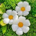 WHITE FLOWERS FOIL BALLOONS PACK OF 5 FOIL BALLOON. 