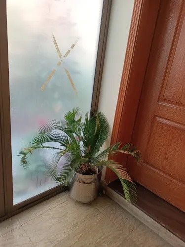 Deco.pk%20Stainless%20Steel%20magnetic%20Planters-%20SS%20Planter%20Plant%20Silver%20&%20golden%20Pots%20in%20different%20sizes%20-%20Image%204