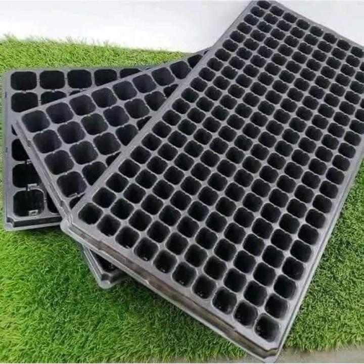 Seedling Tray 200 Holes for seeds Germination