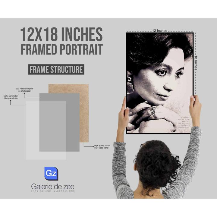Tehmina Durrani framed illustration artwork portrait