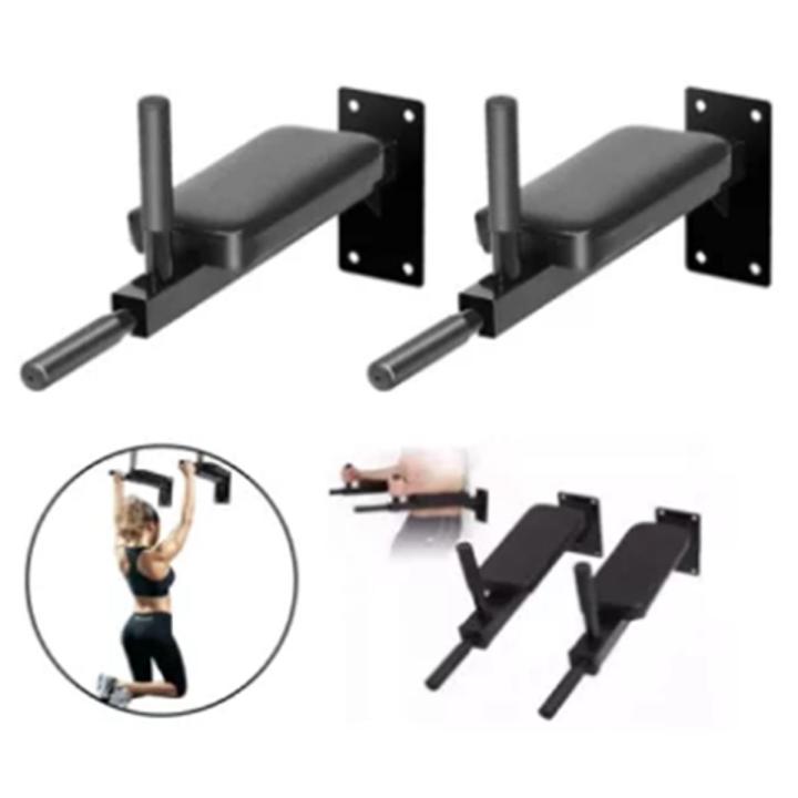 Wall Mounted Dips Bar