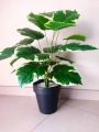 Large Artificial Plants for Home Decor Indoor 3ft Tall Faux Plants for Living Room, Office, and Indoor Spaces. 