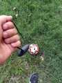 SenseBall Soccer Kick Trainer - The Smart Soccer Ball Trainer Used by Professionals – This Football Improve Your Soccer Skills and Become a Two-Footed Player. 
