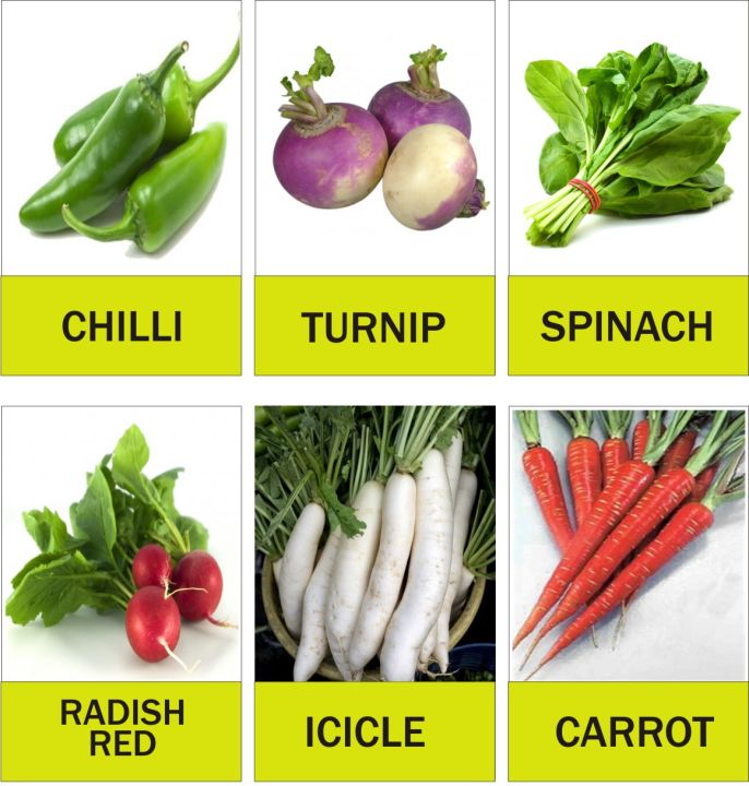 12%20Different%20Winter%20Vegetables%20Kitchen%20Gardening%20Seeds%20Pack%20-%20Image%204