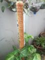 Pack Of 1, 2 And 3 Plant Stick (3 Ft) Straightener For Climbing Indoor Plants / Money Plants. 