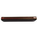 East top 22 Holes Professional Harmonica for Adults. 