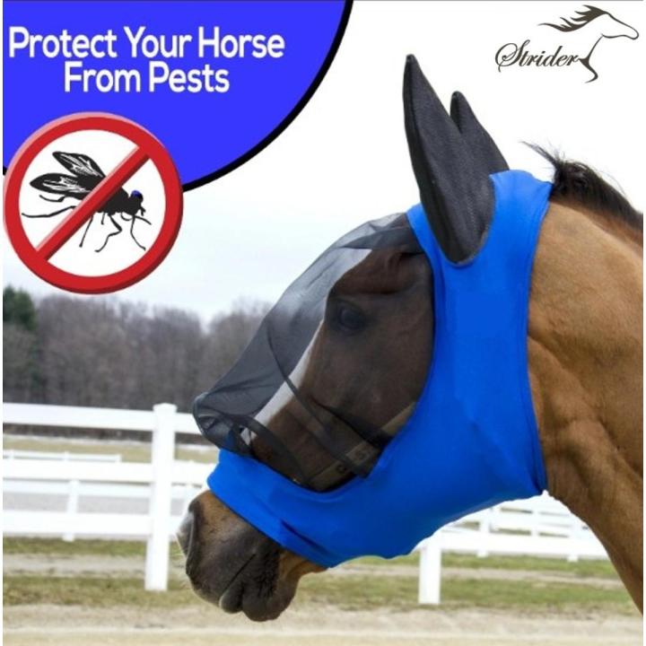 Horse Fly Mask - Blue Color