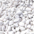 White Medium Pebbles/ Stones for Garden and Aquarium  1 kg pack. 