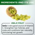 Amishi Amla Powder (Phyllanthus Emblica, Indian Gooseberry) for Hair and Skin 200 g Amishi Amla Powder (Phyllanthus Emblica, Indian Gooseberry) for Hair and Skin 200 g. 