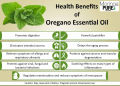 ORGANIC OREGANO ESSENTIAL OIL PAKISTAN. 