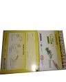 Colour Pencil WOW! (Full 12 Pencils) (1 Pcs). 