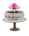 Happy Birthday Candle With Music & Magical Sparklers - Big. 
