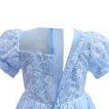 Toddler Girls Lace Princess Dress, Sleeveless Round Neck 3D Flower Formal Dress Party Gown. 