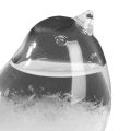 Glass Bird Barometer Handcrafted Bird Shape Weather Forecaster Barometer for Accurate Sunny Cloudy Day Predictions 30ml Bird-shaped Barometer. 
