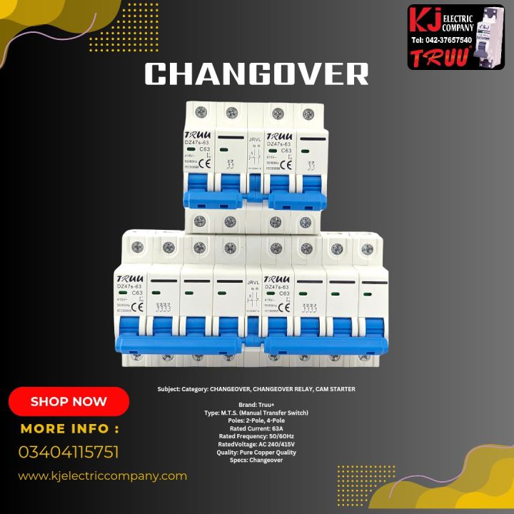 MTS (Manual Transfer Switch)