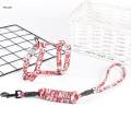 Cat Harness and Leash Soft Adjustable for Large Small Kittens Vest Harnesses. 
