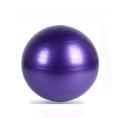King Lion Gymnastic Ball Fitness Exercise Ball And Yoga Ball (Diameter:75cm). 