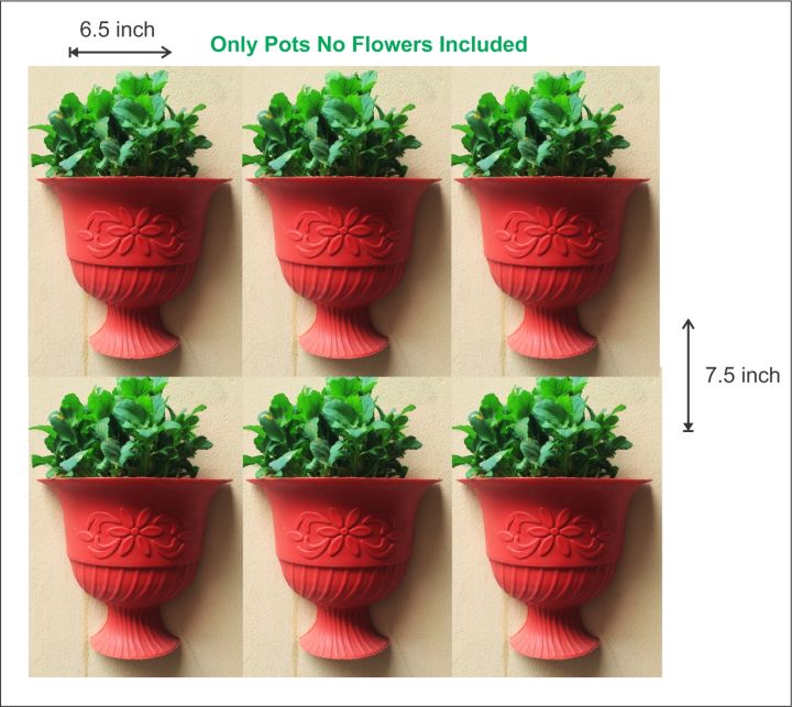 Pack of 12 Small Wall Hanging Pots