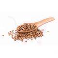 Coriander Whole - دھنیا ثابت ( Dhania Sabut ) - 1 KG. 