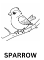 Birds Coloring Book for Kids – Fun & Educational Activity || kids coloring books for learning birds names. 