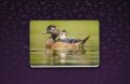 Duck and Duckling Laptop Back Skin Wallpaper -Laptop Skin Sticker Cover Art Decal Protector. 