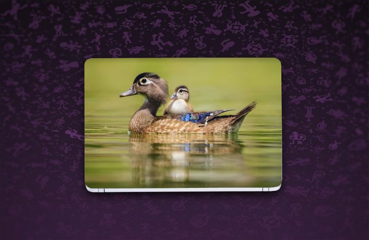 Duck%20and%20Duckling%20Laptop%20Back%20Skin%20Wallpaper%20-Laptop%20Skin%20Sticker%20Cover%20Art%20Decal%20Protector%20-%20Image%202