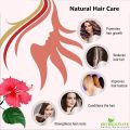 Shudh Online Organic Hibiscus Powder for Hair Growth (100 Grams),  Eating (Gudhal ka Phool, Mandaram, Gongura, Mandaram, Arhul). 