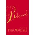 Beloved novel. 