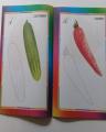 4-Piece Coloring Books for Toddlers.. 