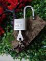 Heavy duty padlock, door lock 40mm top security Lock & Keys Brass Cylinder | 40mm Round Blade Iron Padlock Vane Pad Lock. 