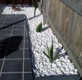 White big Pebbles/ Stones for Garden and Aquarium  1 kg pack. 
