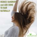 Bhringraj Powder |100 Grams| for Hair Growth, Skin and Eating - 100% natural, Eclipta alba, Bringraj Powder,. 