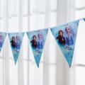 Frozen Flags Banner for Birthday,Decoration,Celebrations & Party Kids. 