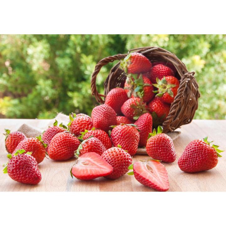 Fresh Imported Hybrids 200+ Strawberry Seeds