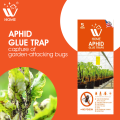 (Pack of 3) WBM Aphid Glue Trap | Sticky Insects & Bug Killer. 