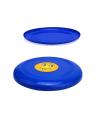 Frisbee for Everyone. 