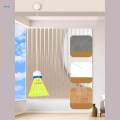 Indoor Badminton Trainer Lightweight Adjustable Height Self Training Device Solo Practice for. 