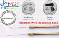 Nichrome Wire Inoculating Loop For Culture Media Microbiology Lab Brass Made. 