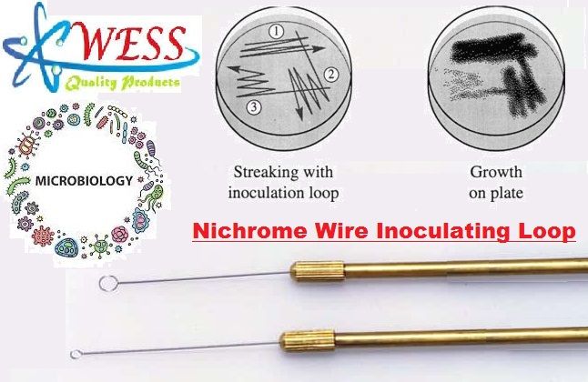 Nichrome%20Wire%20Inoculating%20Loop%20For%20Culture%20Media%20Microbiology%20Lab%20Brass%20Made%20-%20Image%202