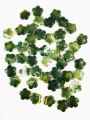 40 grams Green Marble Textured Flower Acrylic Plastic Beads, 14mm, for Jewelry Making and DIY Crafts. 