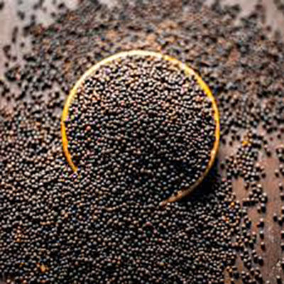 Black Mustard Seeds (Rai) 100gm