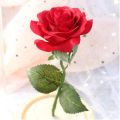Beauty and The Beast Red Rose in Glass Dome on Wood Base, LED Lights Forever Perfect Silk Rose and Girlfriend Rose Flowers Light for Valentines Day | New Years. 