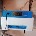 36 Eggs fully automatic incubator Ac/DC  best for Bird parrots. 