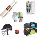 Pack of 10 - Professional Cricket Kit For Adults Gray Nicolls (Hard Ball Cricket Bat + Hard Ball + Gloves + Cricket Kit Bag + Helmet + Under Guard + Leg Pads + Elbow Pads + Thigh Pads). 