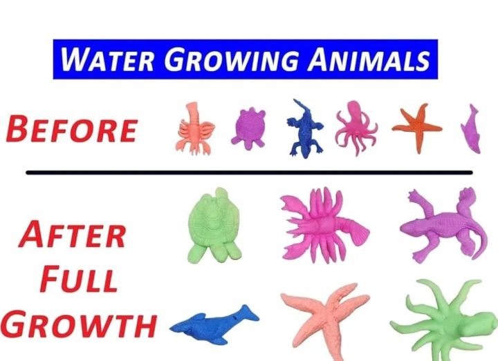 Pack%20of%2030%20Animal%20Shaped%20Orbeez%20Animal%20Water%20Growing%20Magic%20Expandable%20Animals%20Hydrogen%20Animals%20KS%20-%20Image%205