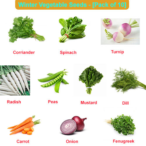Winter%20Vegetables%20Seeds%20(Pack%20Of%2010)%20Seeds%20Vegetables%20Packet%20-%20Excellent%20Germination%20-%20Healthy%20Vegetable%20-%20Image%203