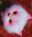 Beautiful Furry Cute Cat Face Keychain Original | Key Holder | Fancy Key-chain. 