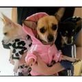 【KuaKe Mall】Big Clothes Sweatshirt Winter Warm Adidog Dog Clothing For Labrador Yorkies Medium Large French Dog Hoodie. 